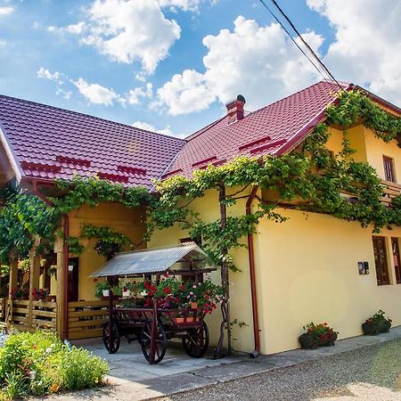 Casa Andreea Ξενοδοχείο Sucevita Εξωτερικό φωτογραφία