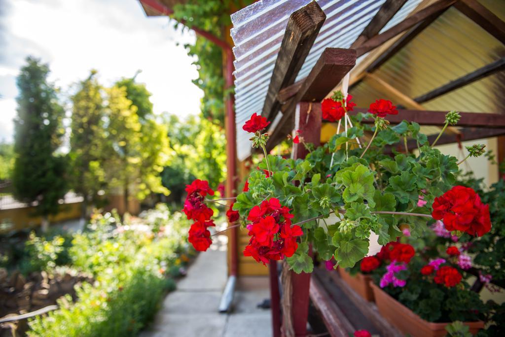 Casa Andreea Ξενοδοχείο Sucevita Εξωτερικό φωτογραφία