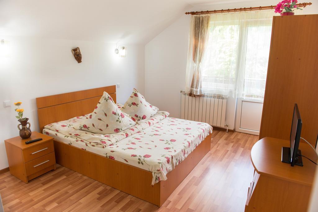 Casa Andreea Ξενοδοχείο Sucevita Εξωτερικό φωτογραφία