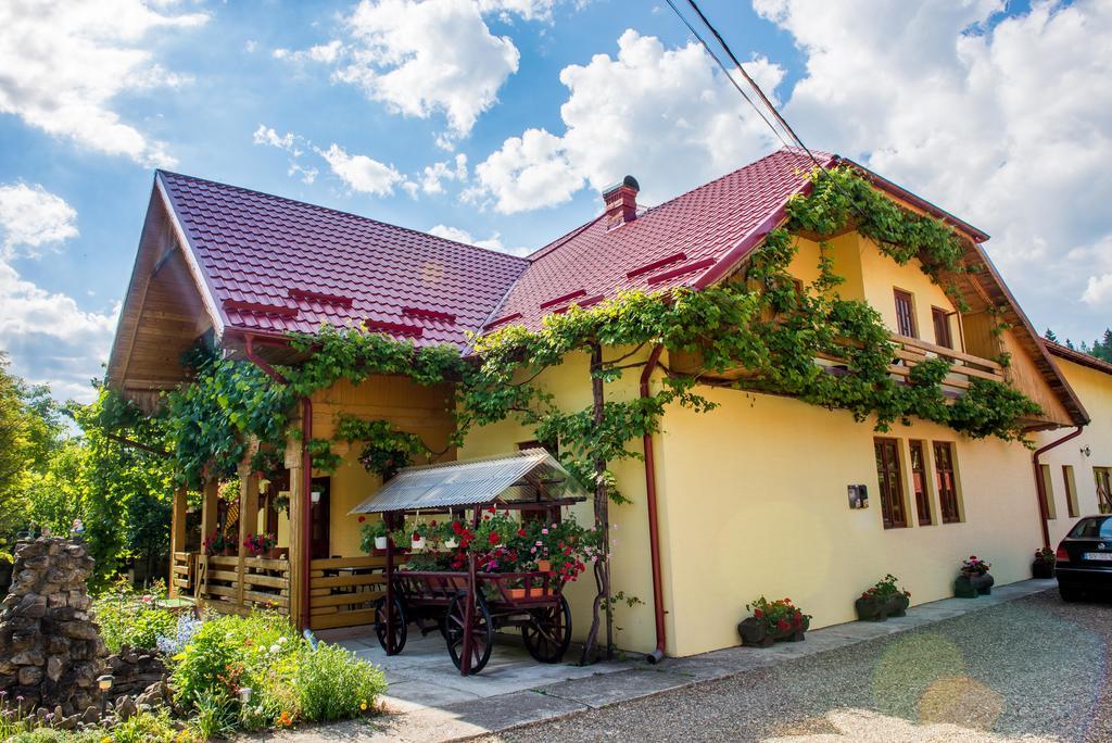 Casa Andreea Ξενοδοχείο Sucevita Εξωτερικό φωτογραφία